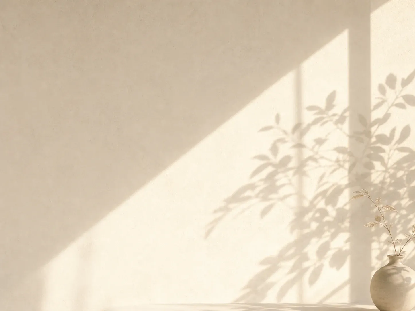 Soft Natural Light